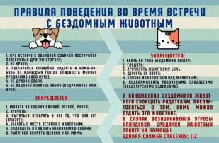 Акция «Безопасность детства». Безопасность от нападения собак Акция «Безопасность детства». Безопасность от нападения собак.