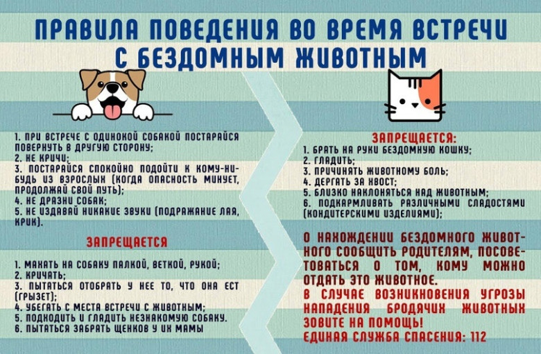 Акция «Безопасность детства». Безопасность от нападения собак Акция «Безопасность детства». Безопасность от нападения собак.